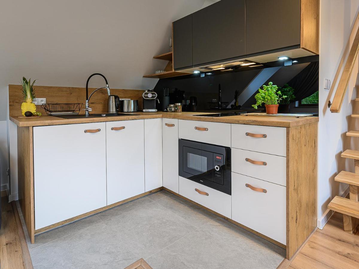 Visitzakopane - Hermes Apartment エクステリア 写真